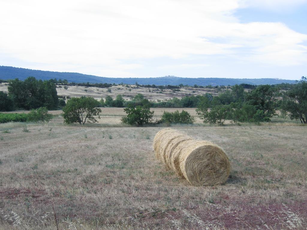 Gite Du Salagou Octon Esterno foto