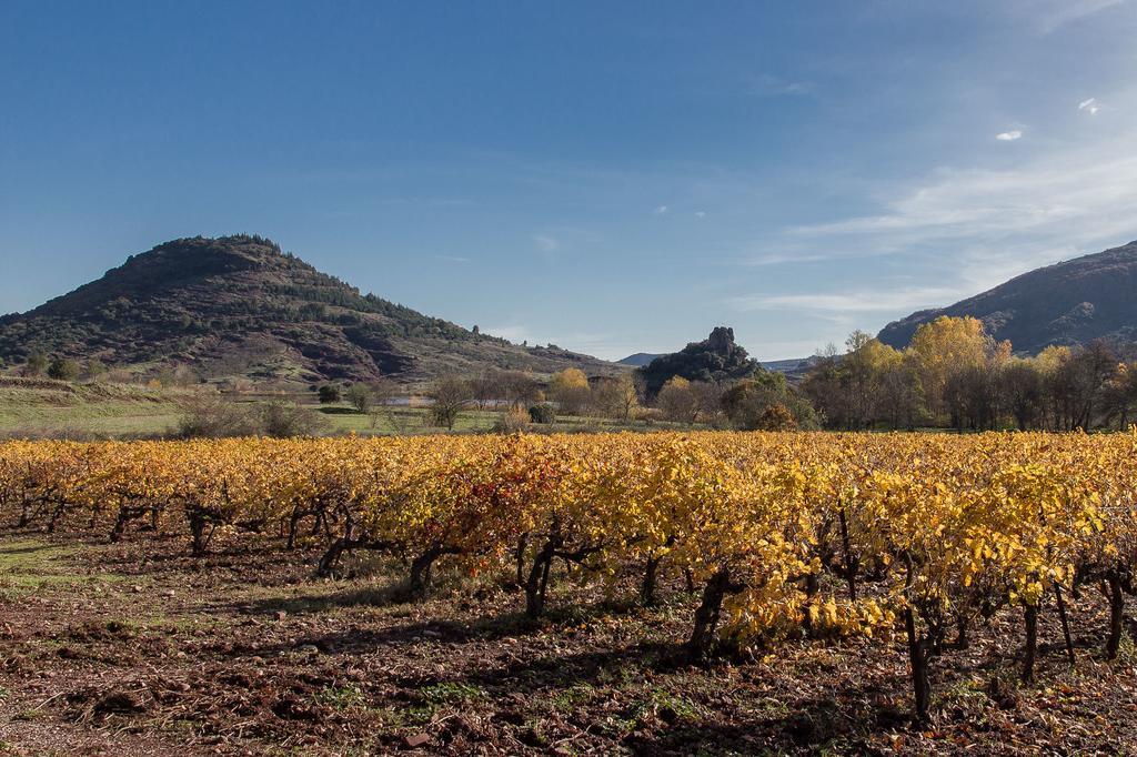Gite Du Salagou Octon Esterno foto